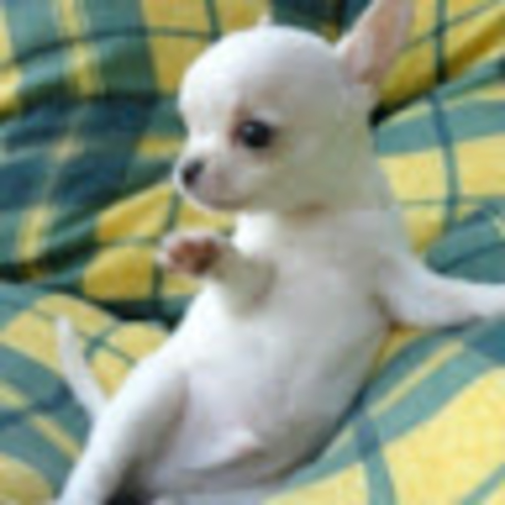 Meet your Posher, Marisa